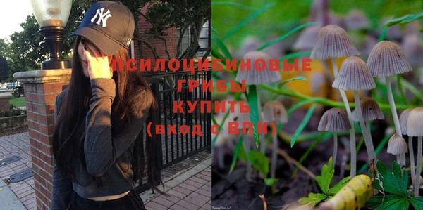 2c-b Балабаново
