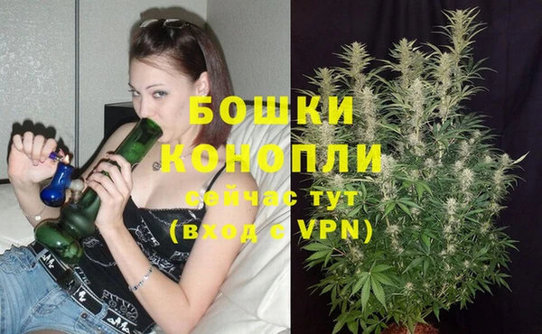 ECSTASY Баксан